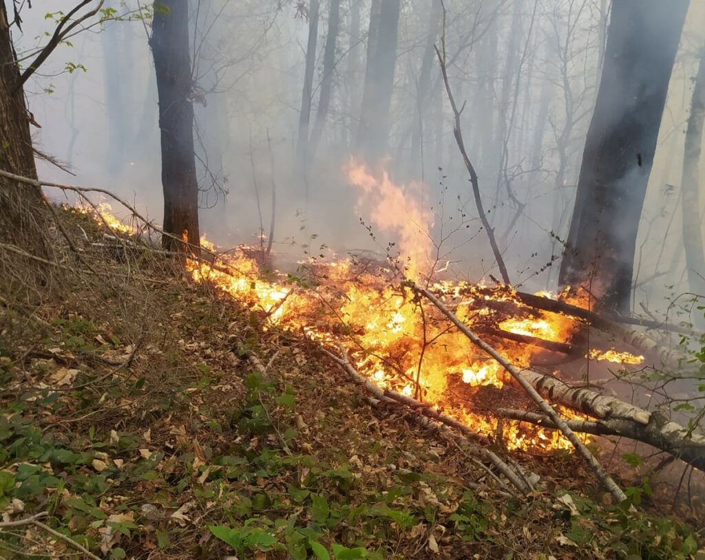 Peveragno incendio 19 aprile 2 Aib
