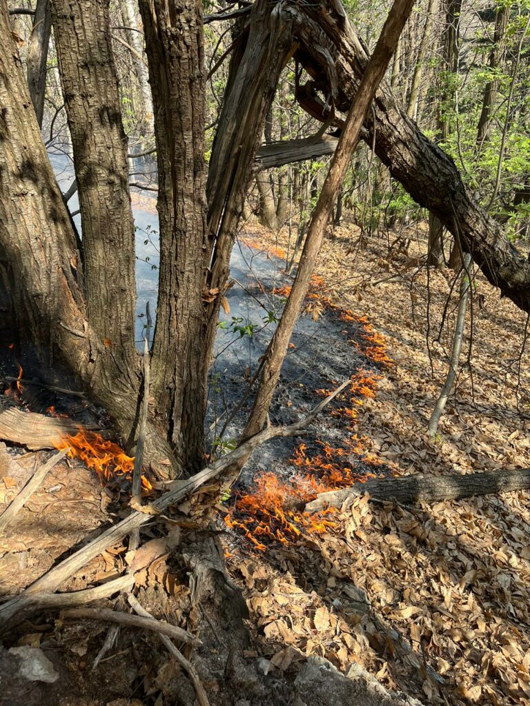 Peveragno incendio 19 aprile 3 Aib