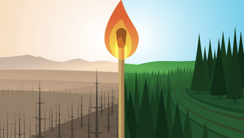 La Guida - Incendi boschivi, pianificazione e prevenzione: incontro Uncem