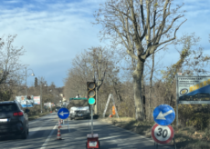 La Guida - Da mercoledì riprendono i lavori di potatura alberi su via Circonvallazione Nord