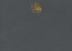 La Guida - Alla ricerca di armonia tra maschile e femminile