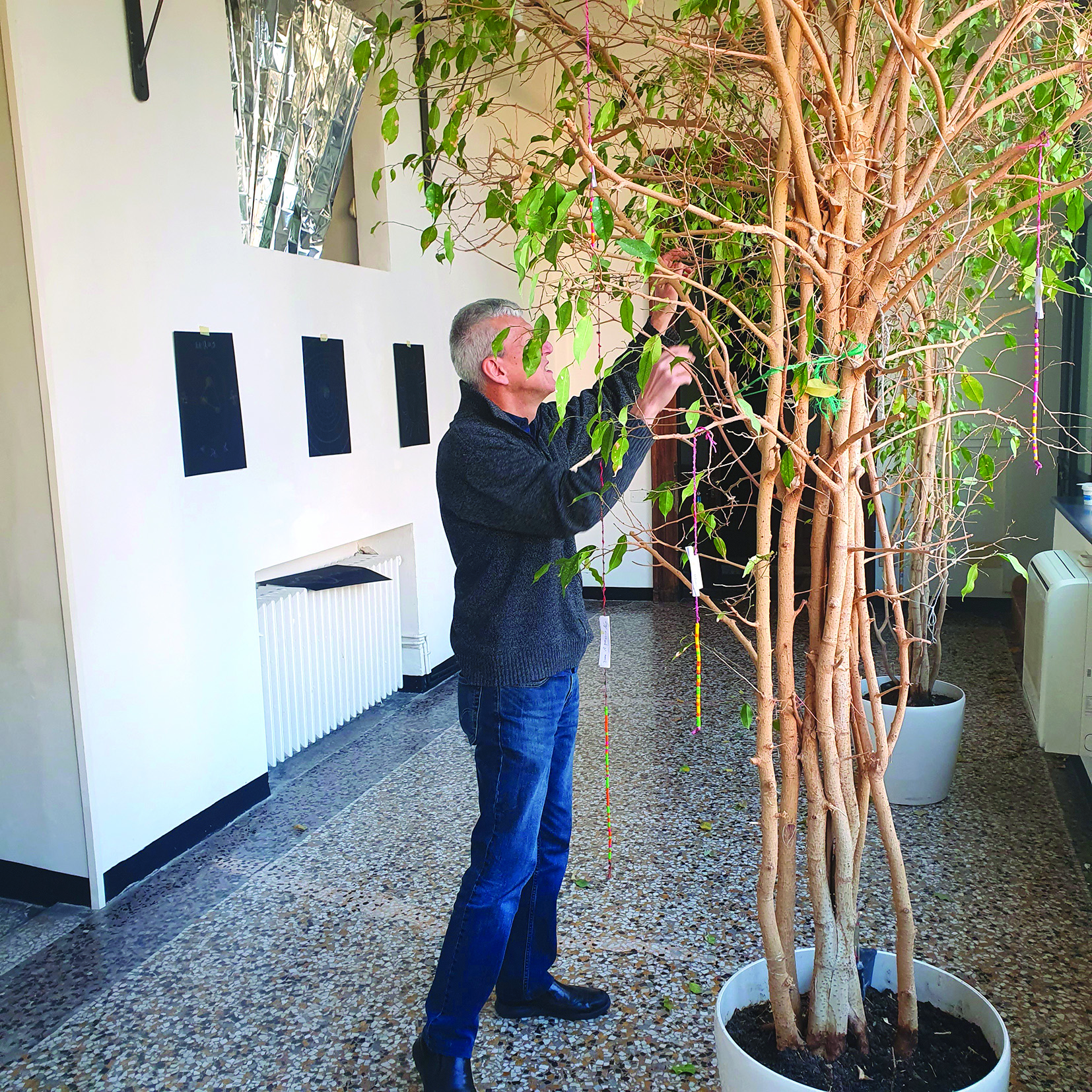Domenico Olivero, mostra Stadime